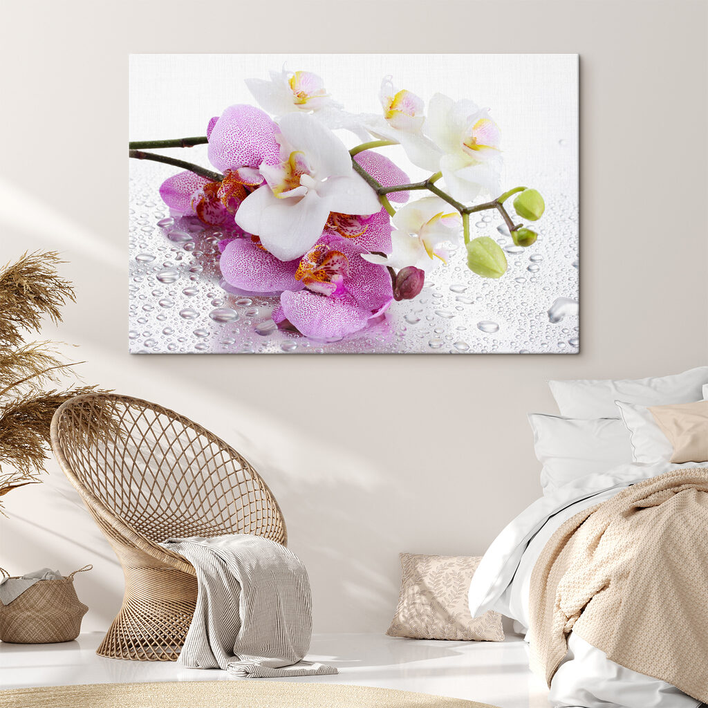 Orchidey s kvapkami rosy — interiér 4