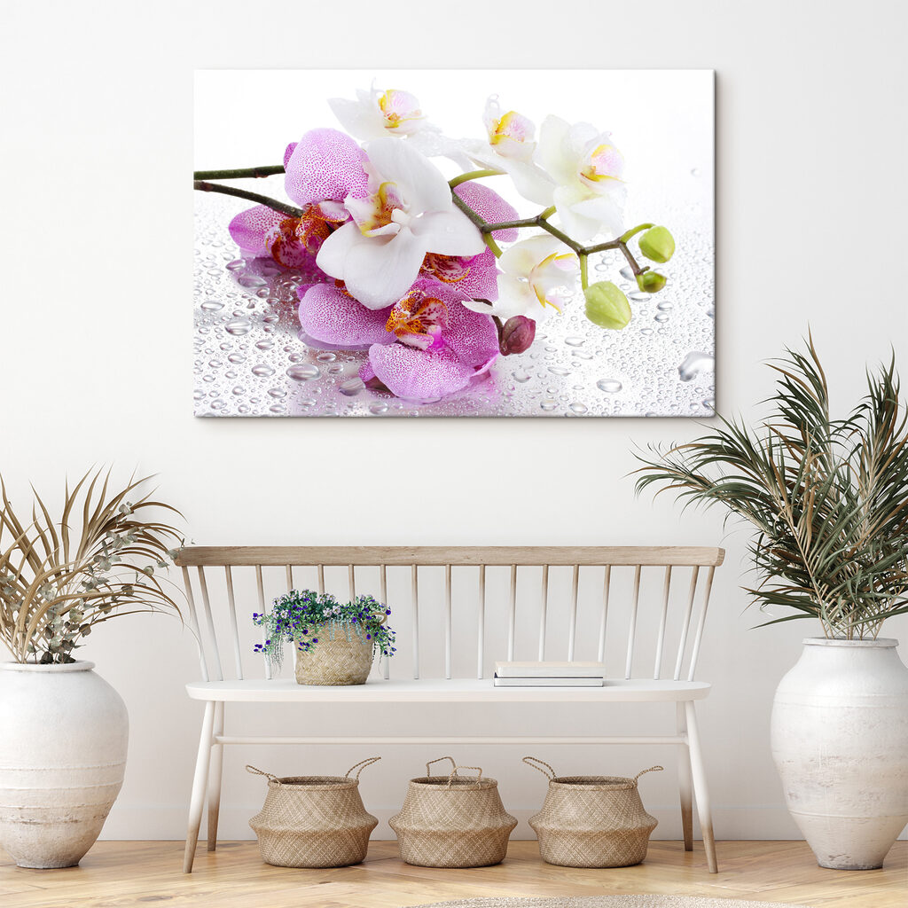 Orchidey s kvapkami rosy — interiér 5