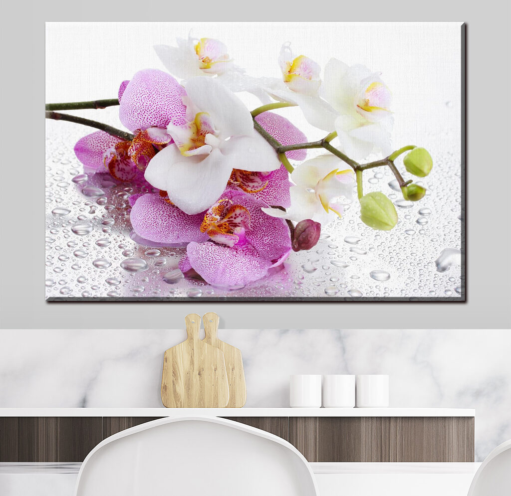 Orchidey s kvapkami rosy — interiér 1
