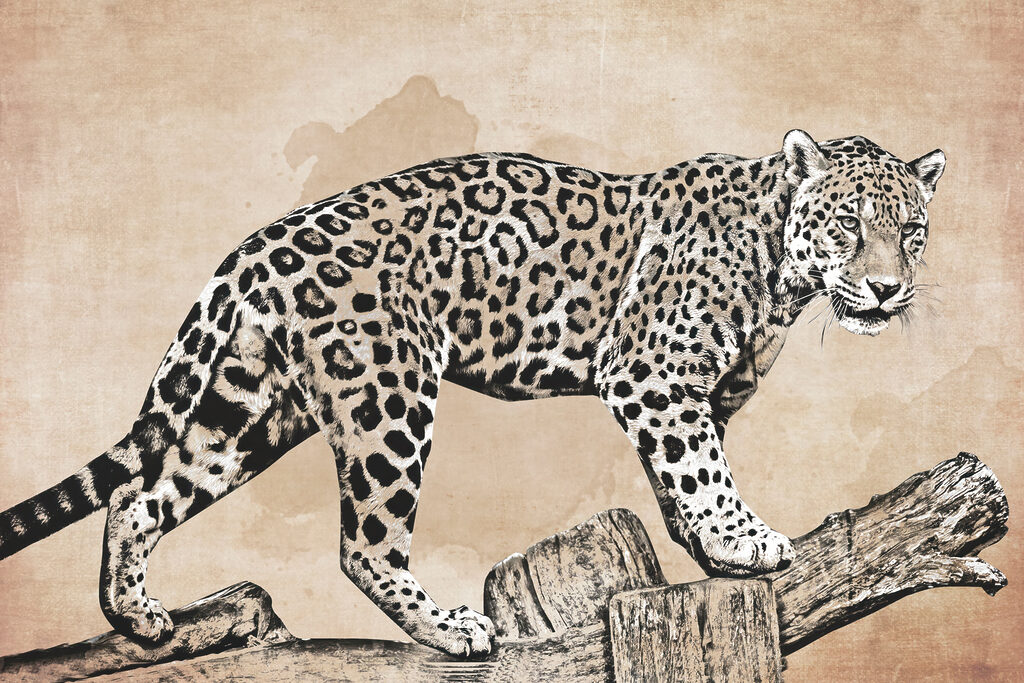 Leopard na konári — celý dizajn