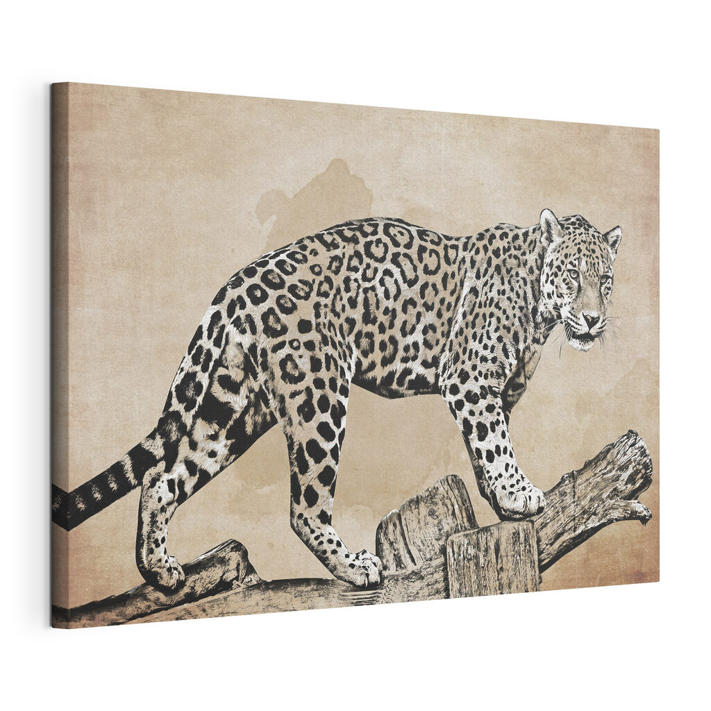 Leopard na konári: napnuté plátno a obtočený okraj