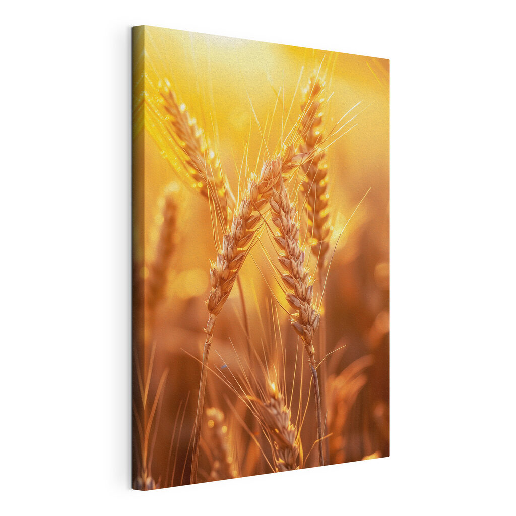 Klasy v teplom slnku — pohľad na tovar