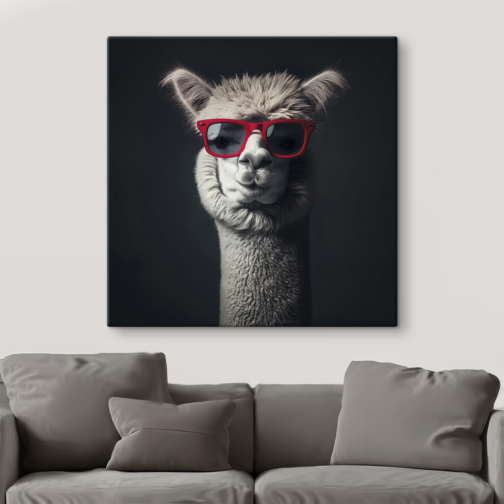 Lama s červenými okuliarmi — interiér 3