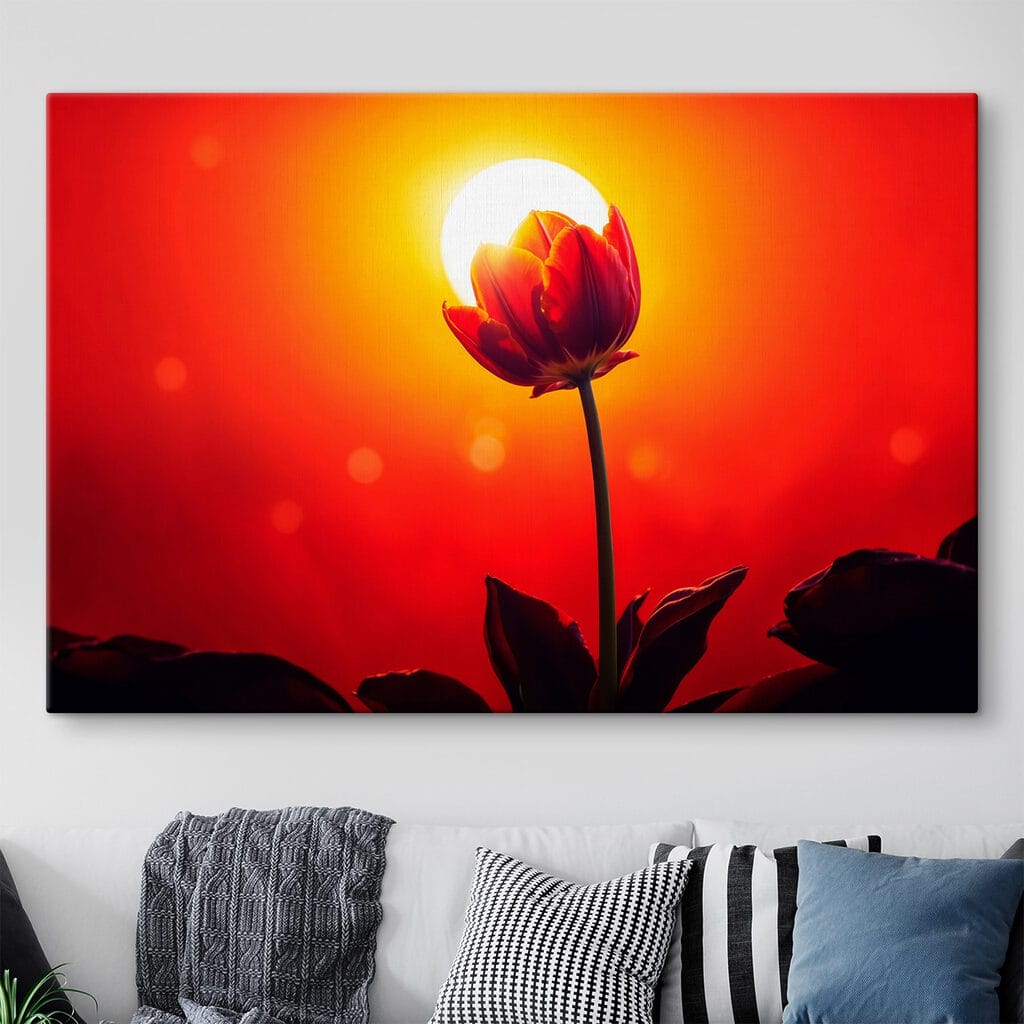 Červený tulipán pred slnkom — interiér 1