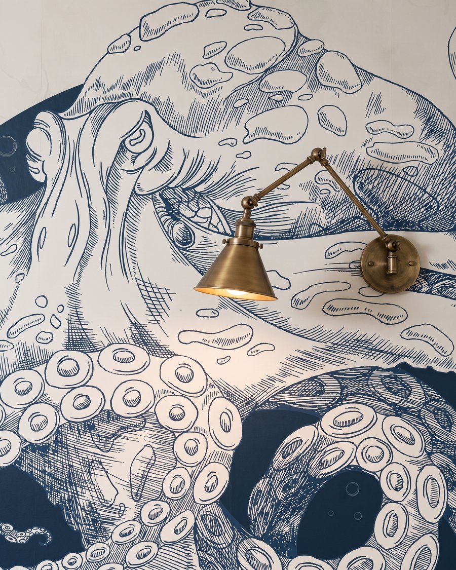 Kučeravá chobotnica — detail