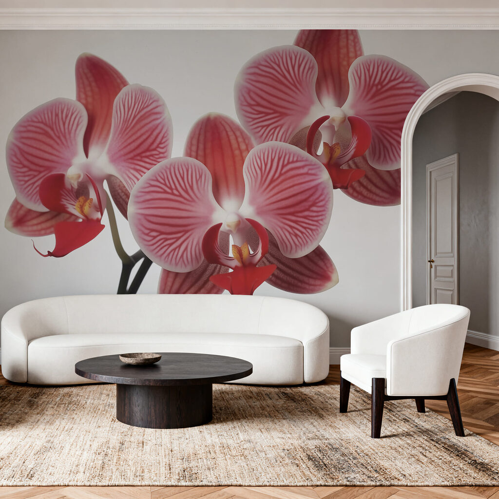 Ružová orchidea — interiér 1