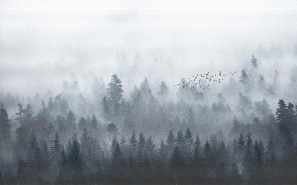 Hejno vtákov nad lesom — celý dizajn
