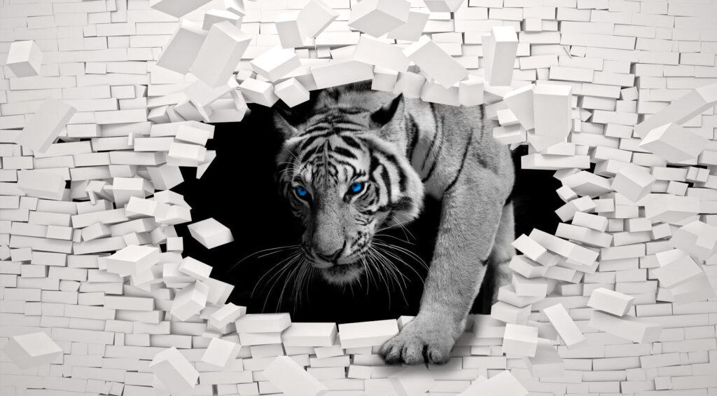 Biely tiger cez tehly — celý dizajn