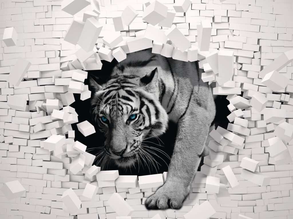 Tiger prerážajúci stenu — celý dizajn