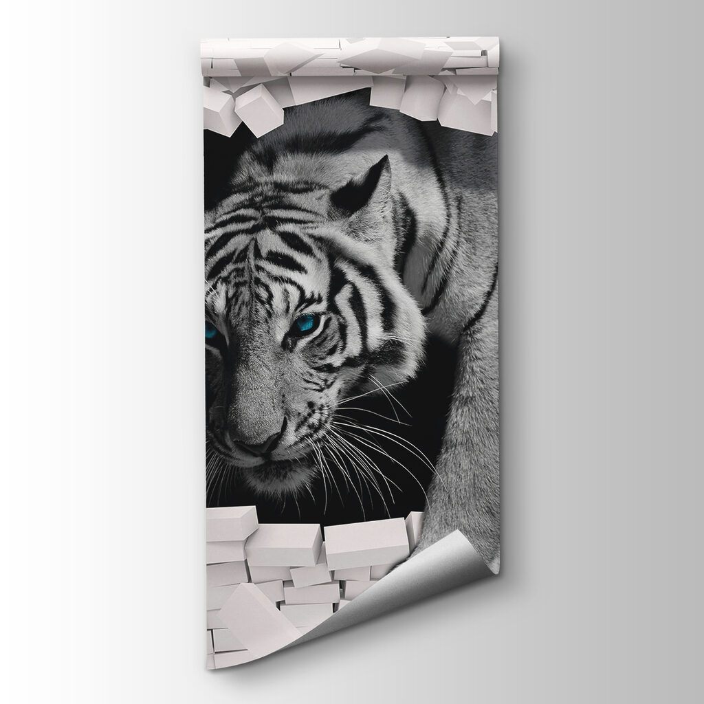 Tiger prerážajúci stenu — pohľad na tovar