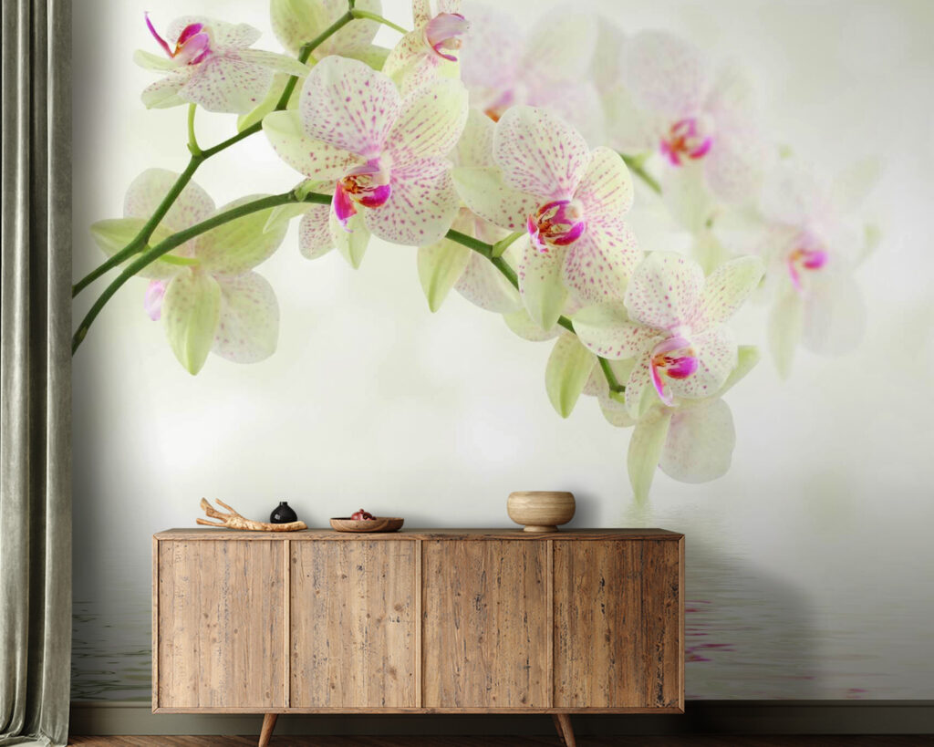 Svetlé orchidey nad vodou — interiér 2