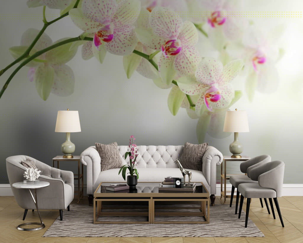 Svetlé orchidey nad vodou — interiér 1