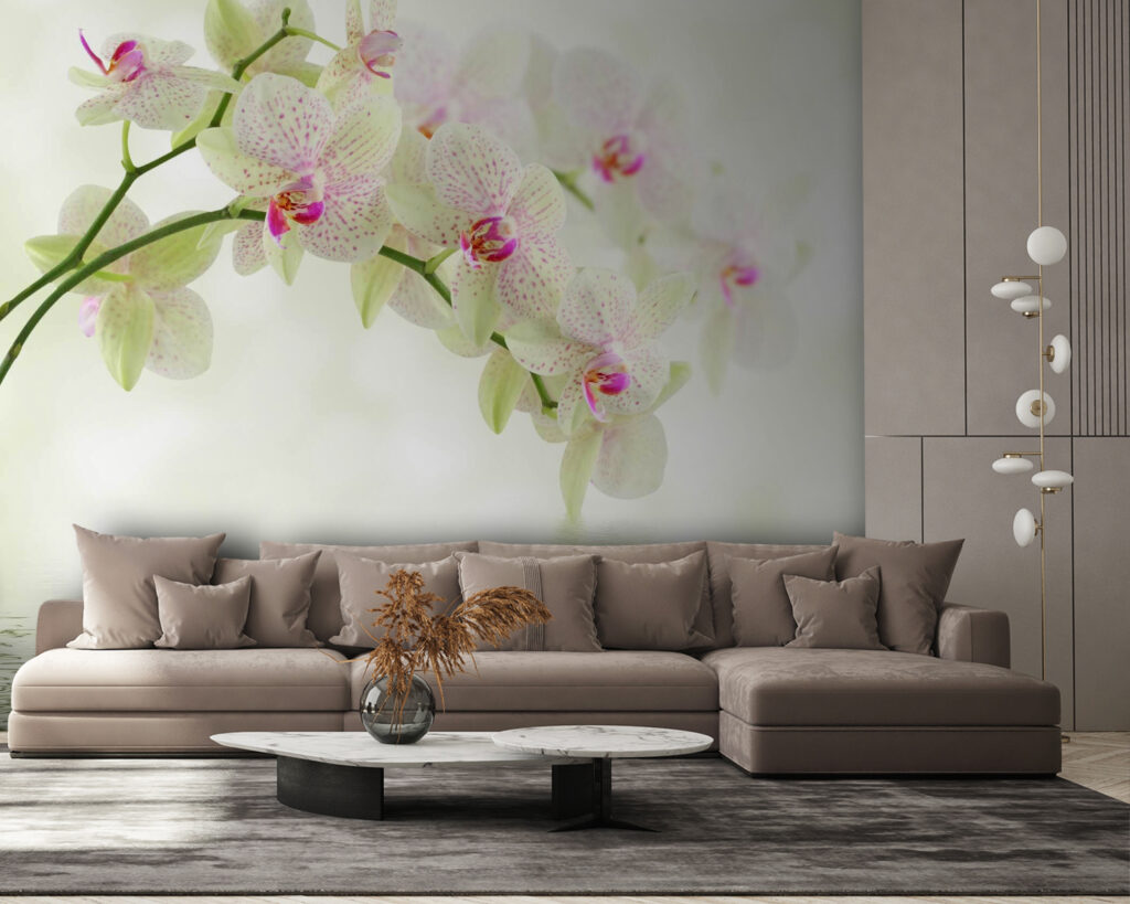 Svetlé orchidey nad vodou — interiér 3