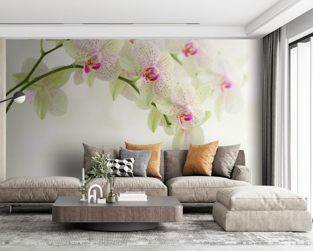 Svetlé orchidey nad vodou — interiér 5