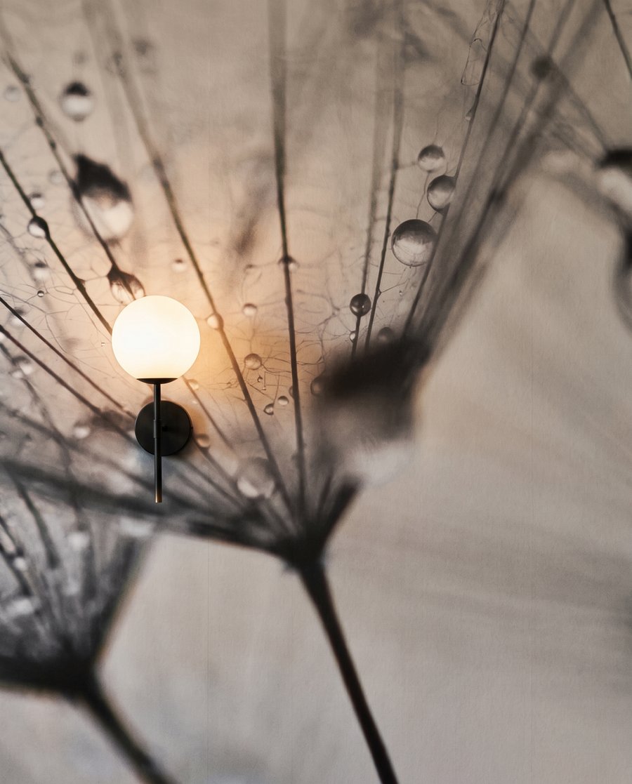 Kvapky rosy na chmýri — detail