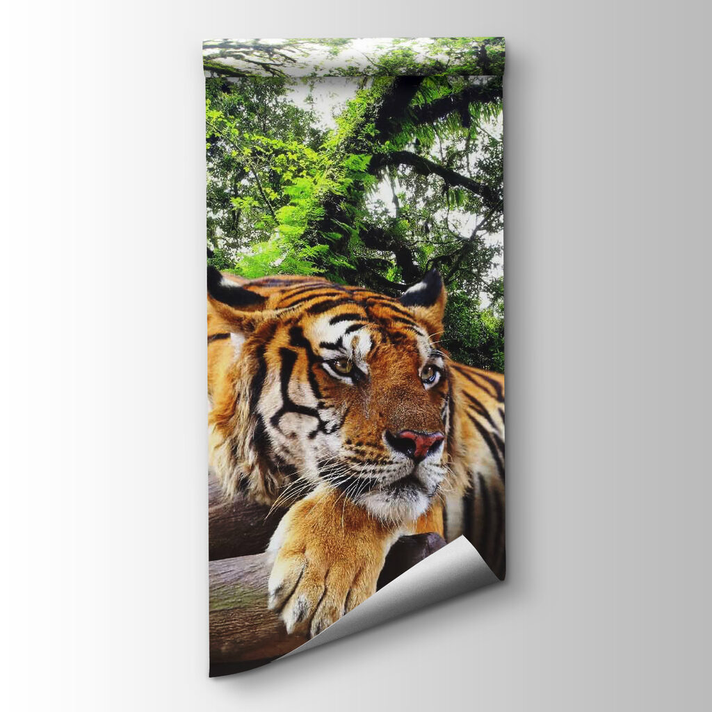 Tiger odpočíva pod konármi — pohľad na tovar