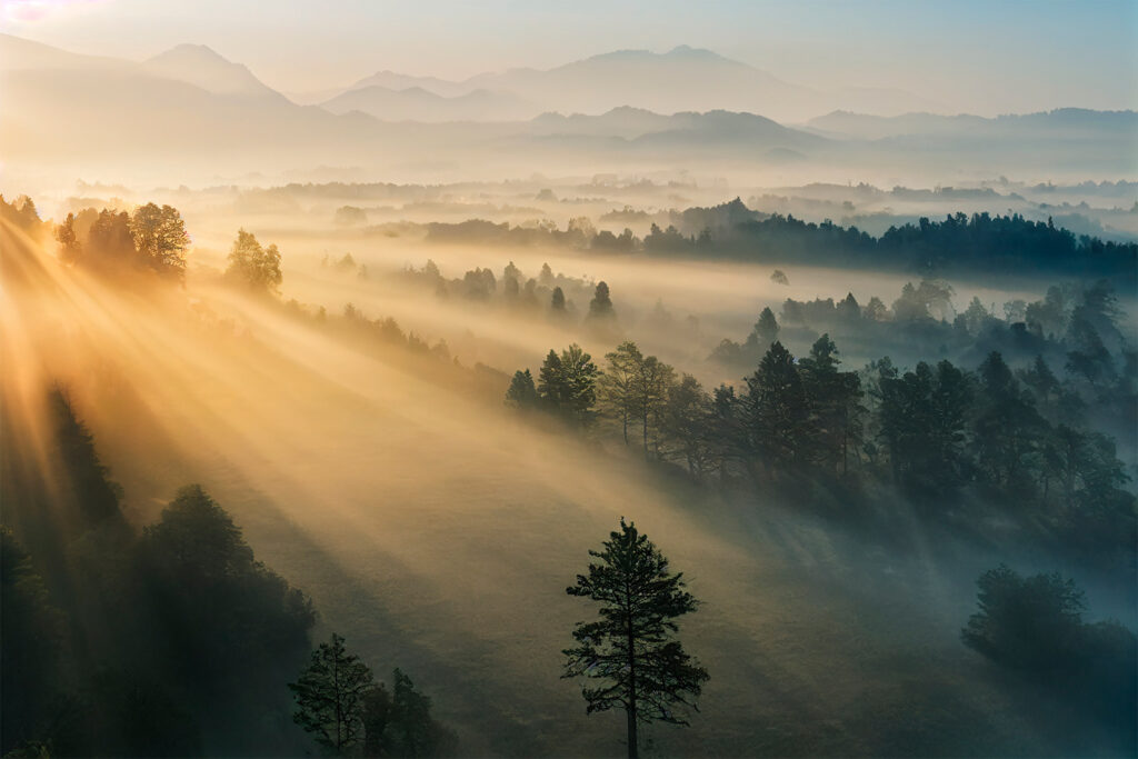 Lúče nad spiacim lesom — celý dizajn