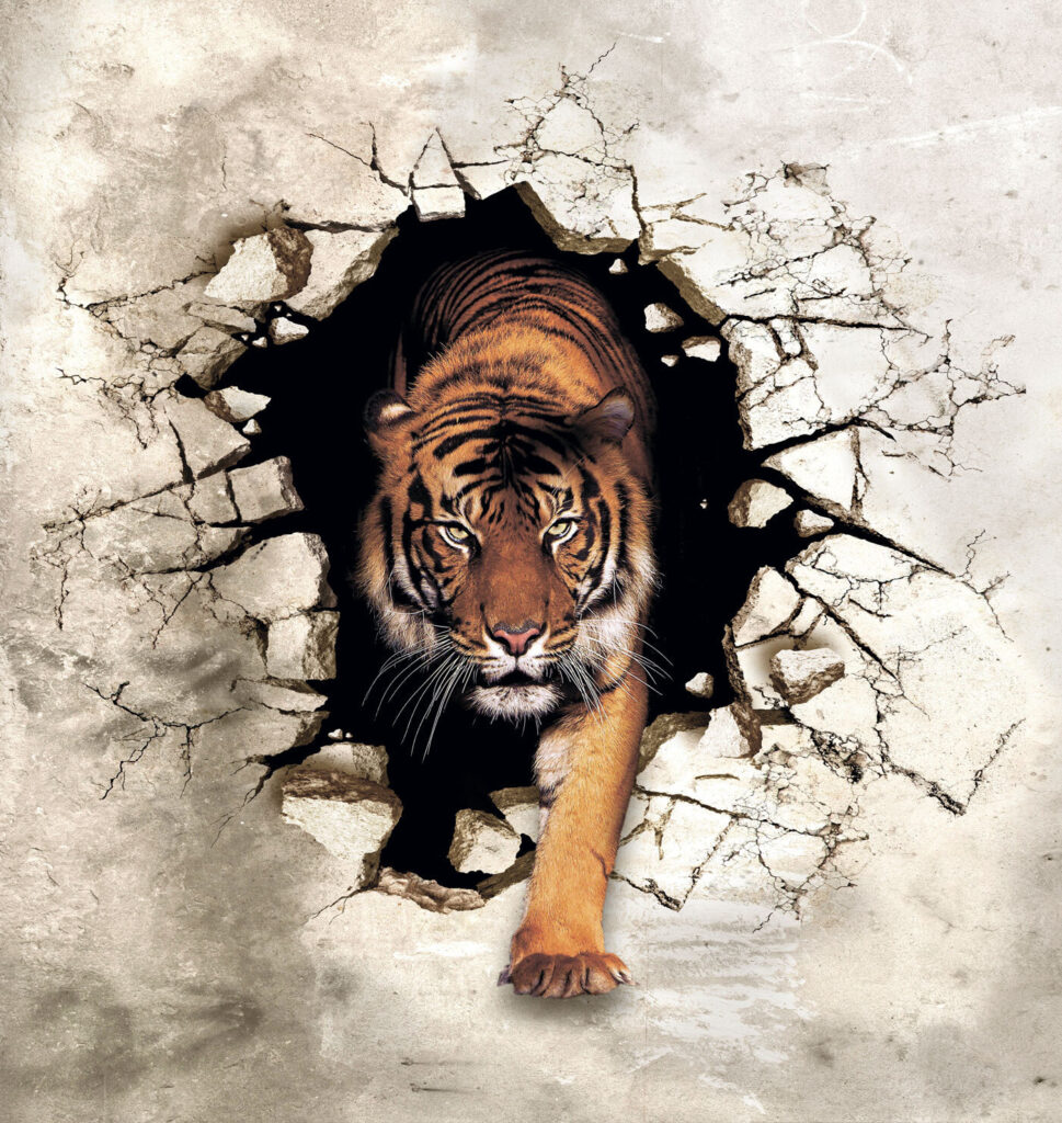 Tiger prichádza zo steny — celý dizajn