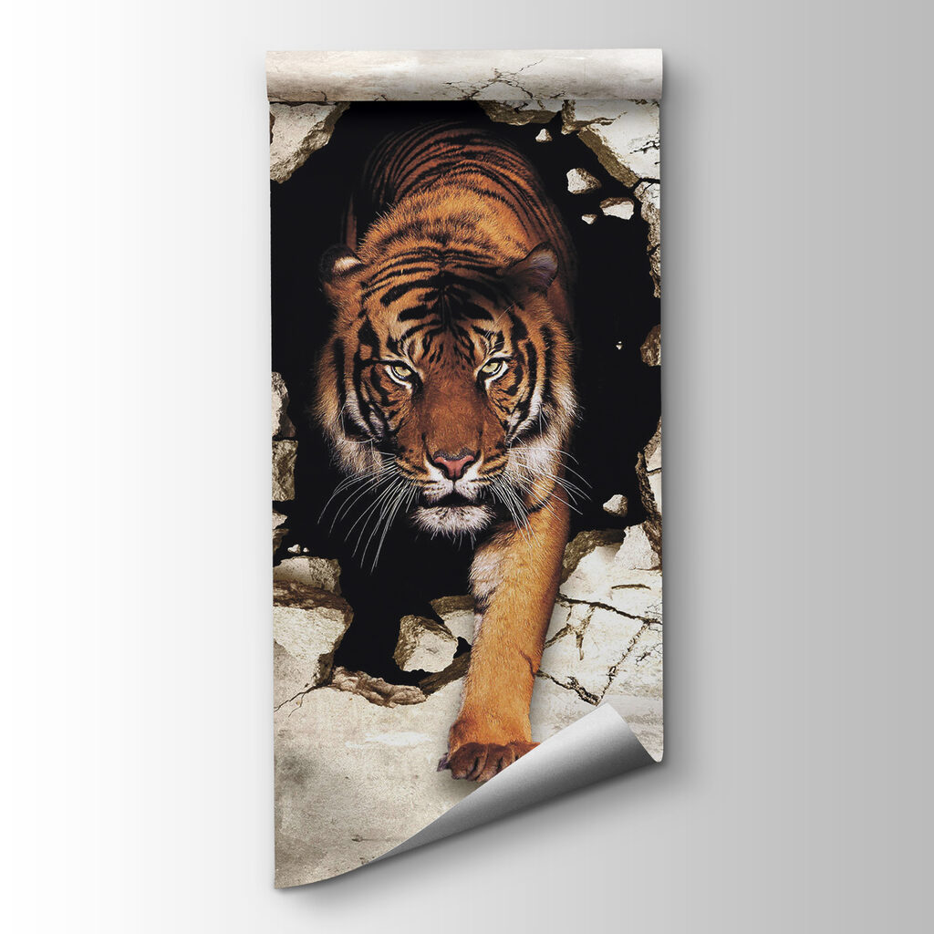 Tiger prichádza zo steny — pohľad na tovar