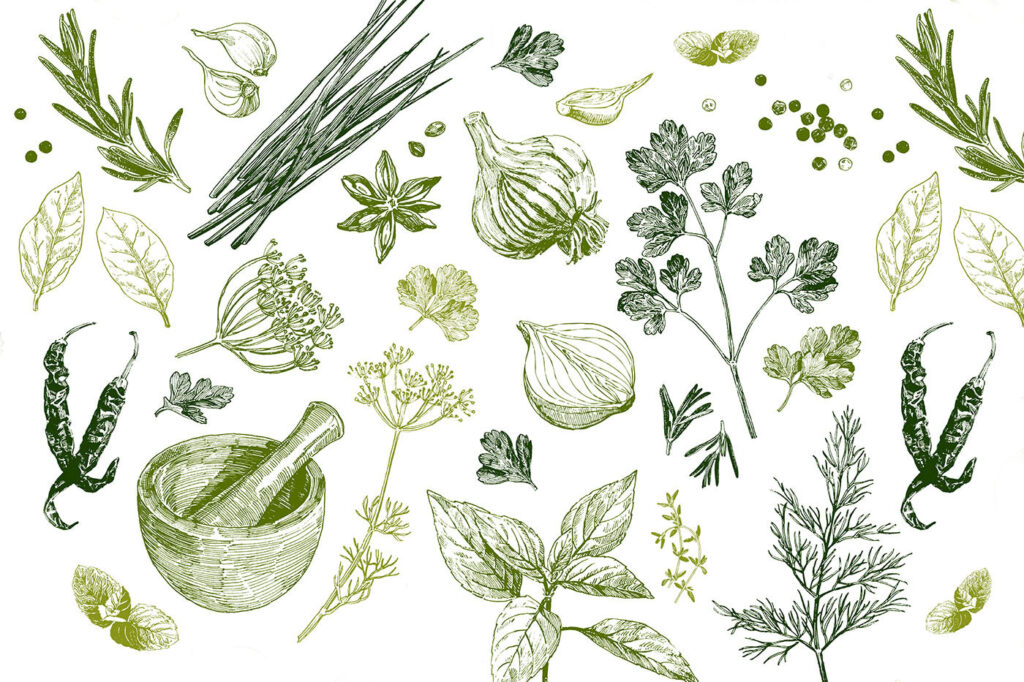 Zelené bylinky na bielom — celý dizajn