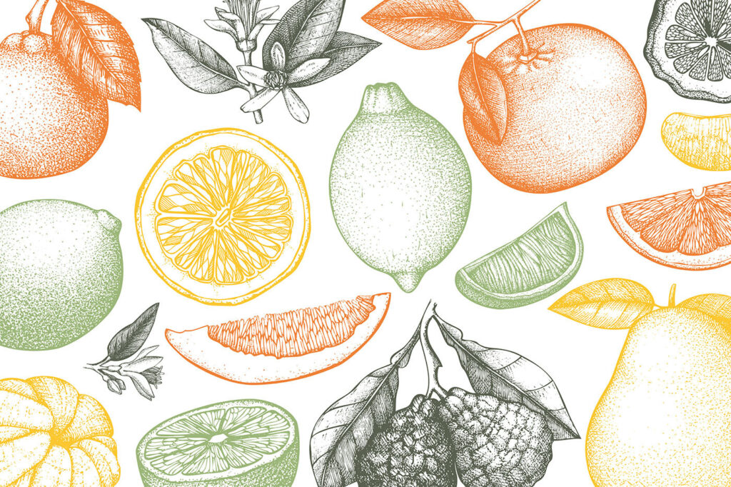 Citrusy v jemnej kresbe — celý dizajn