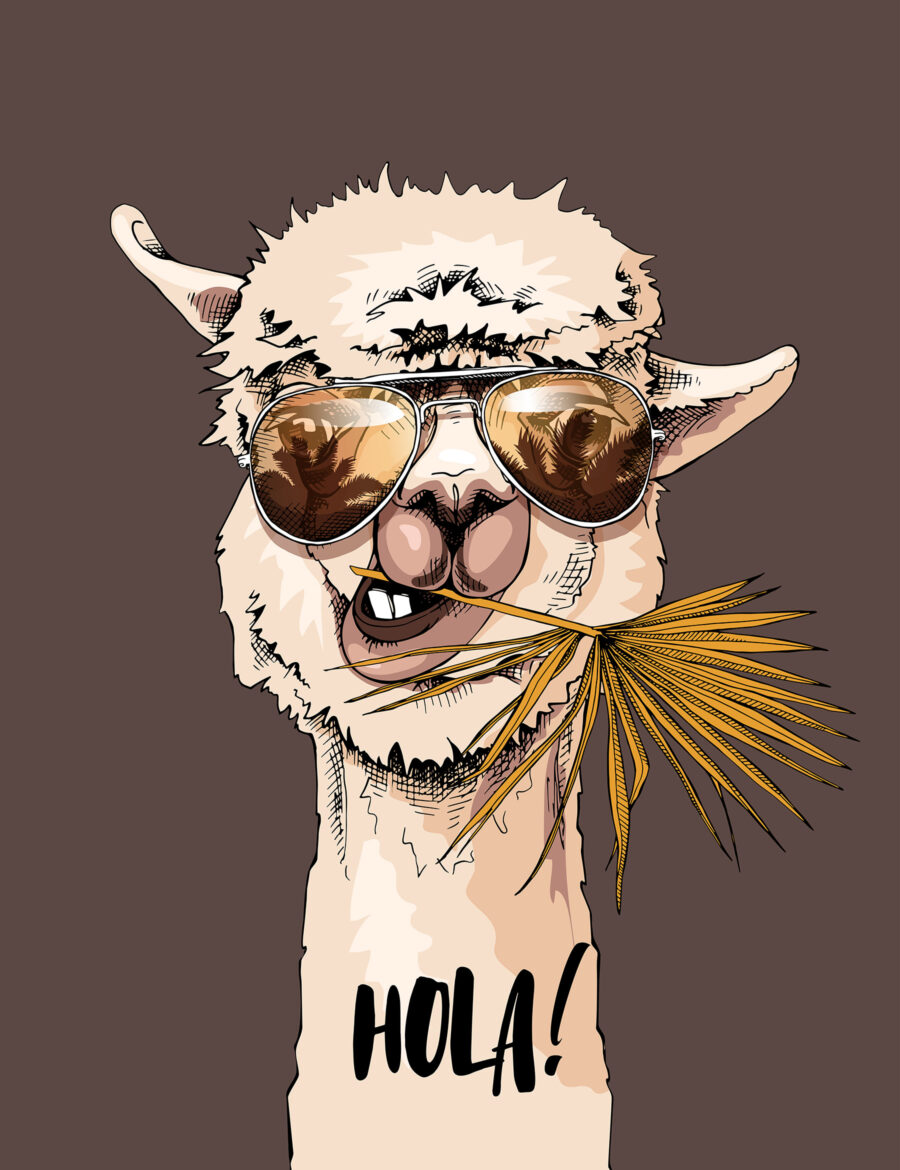 Lama so slnečnými okuliarmi — celý dizajn
