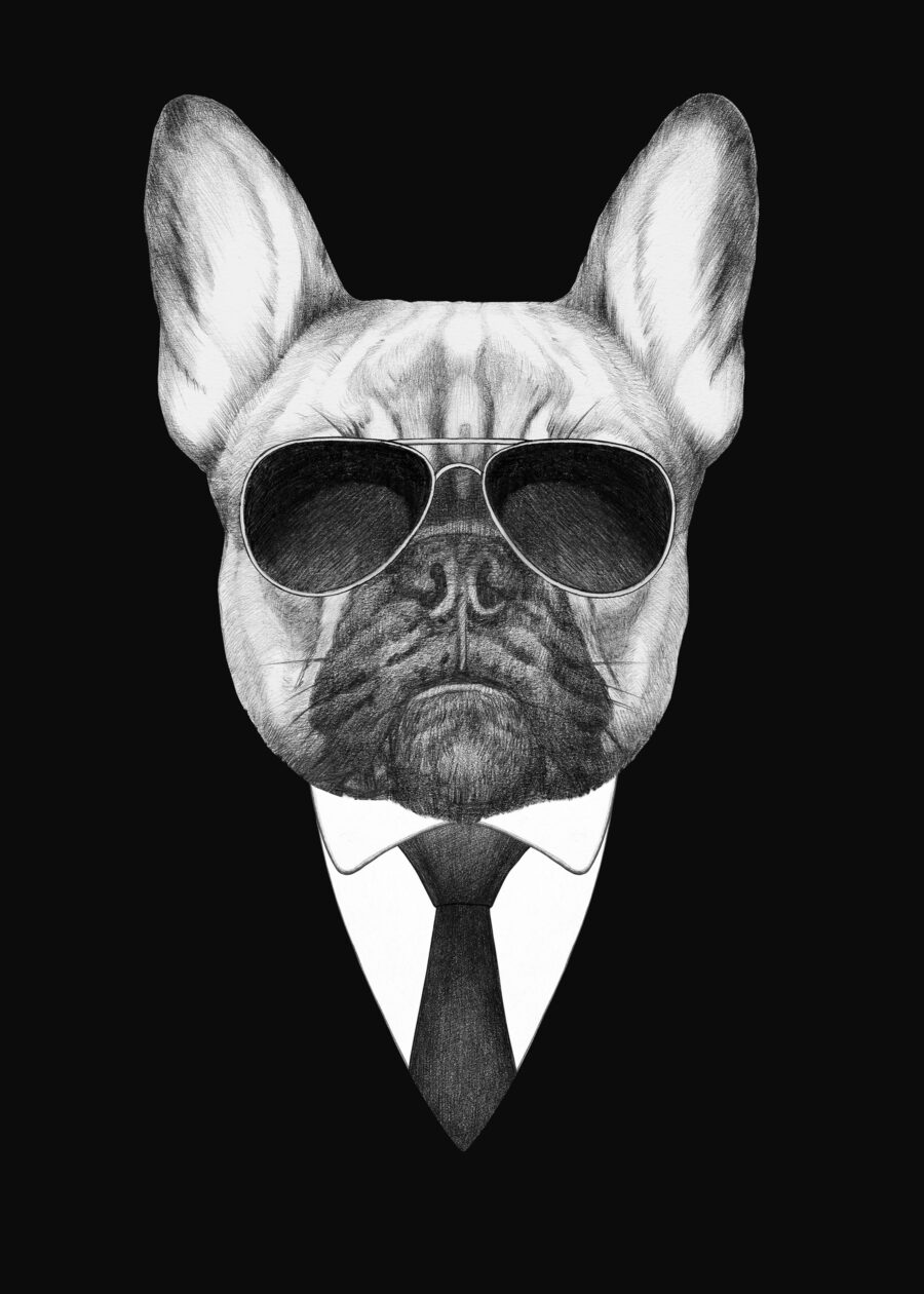 Buldog v obleku — celý dizajn