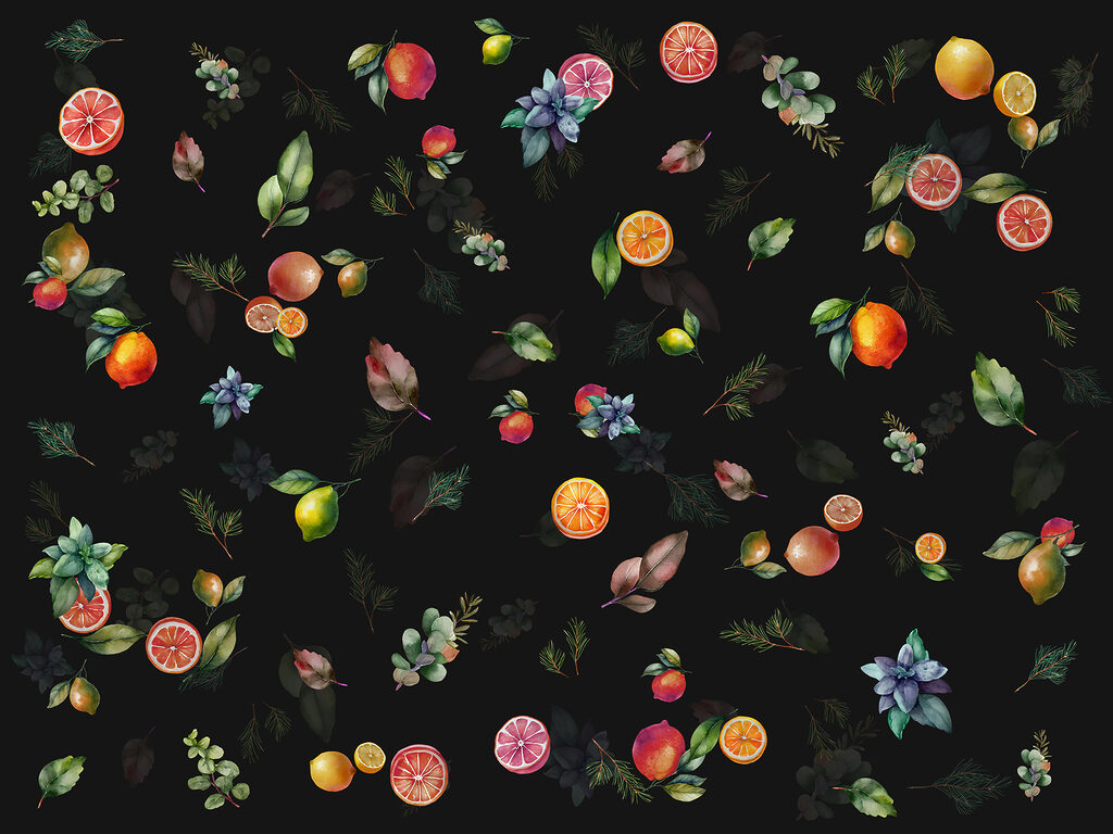 Citrusové plody a listy — celý dizajn