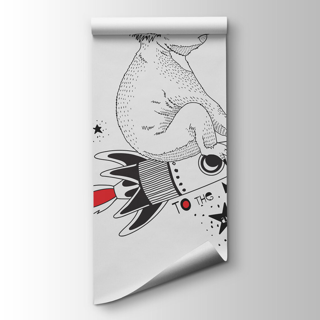 Koala na rakete — pohľad na tovar