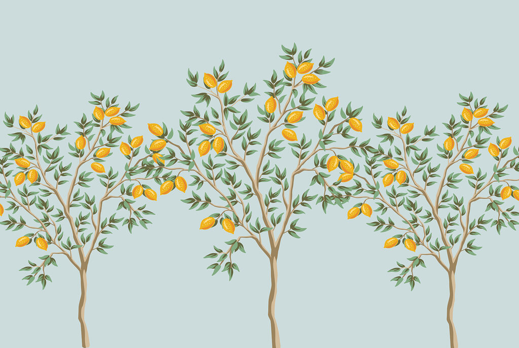 Tri malé citrónovníky — celý dizajn