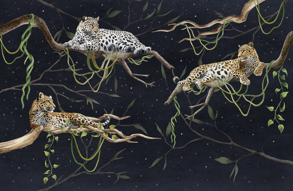 Leopardy pod hviezdami — celý dizajn